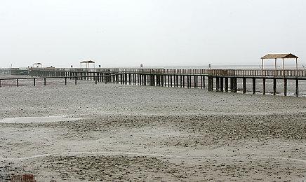 网传《守望先锋2》测试版将于3月发布 大家期待吗？